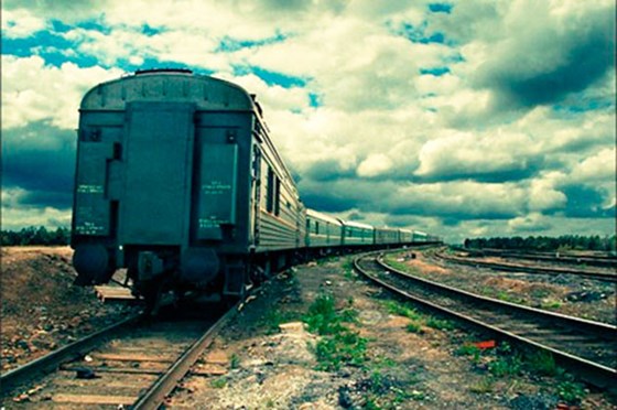 Другое: Роды и петиция 